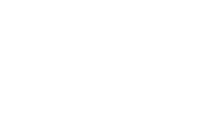 wordpress - ZS Création site internet